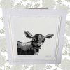 Beautiful Cow Everyday Card