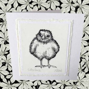 Little Chick Everyday Card